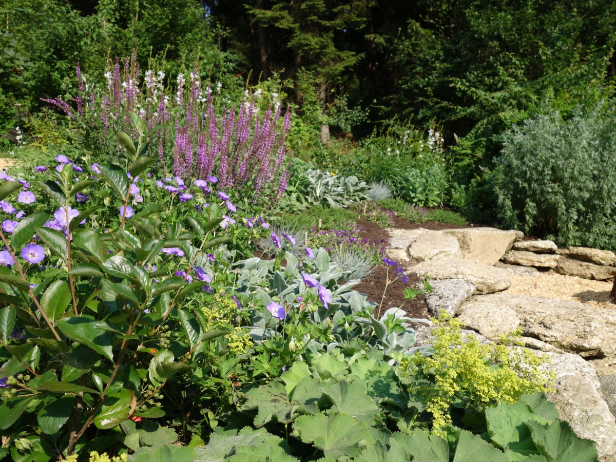 Im LEBENS·RAUM\Garten